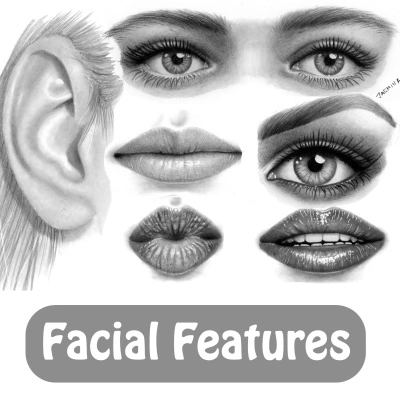 graphite pencil drawing