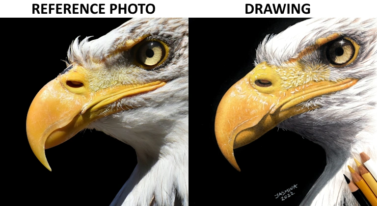 Finished drawing displayed side by side with the reference photo, showing a perfect color match using the suggested colored pencils from PenPick