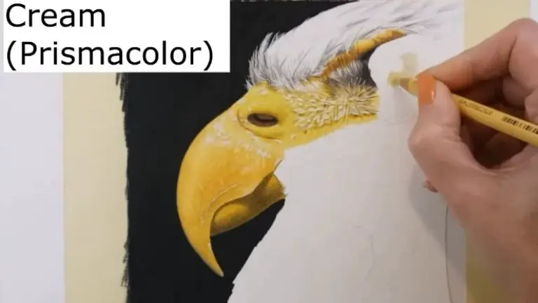 Demonstration of using Cream by Prismacolor Premier to color the eagle’s striking iris in a colored pencil drawing, guided by the PenPick app