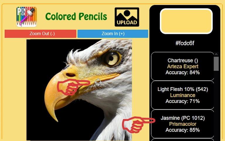 Close-up of eagle’s yellow gape colored with Jasmine Prismacolor Premier colored pencil, smooth texture using color picker tool.