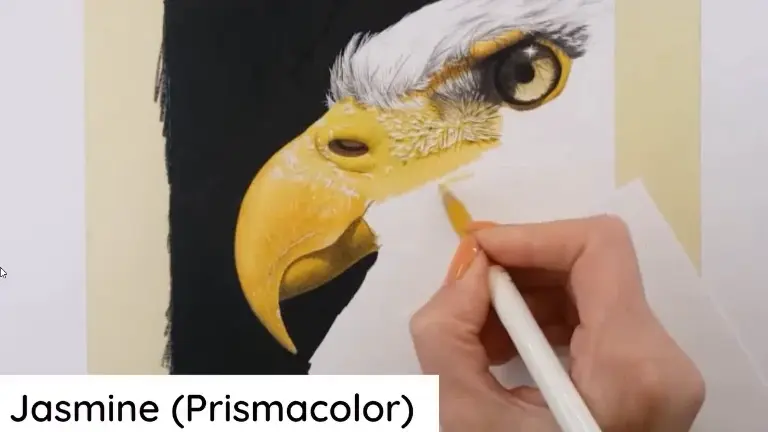 Eagle beak detailed work in progress with Jasmine colored pencil by Prismacolor Premier  selected by color picker for accurate tone