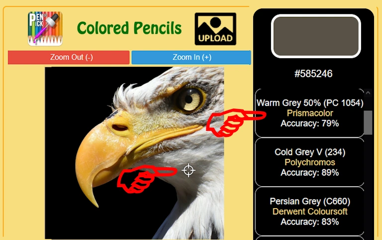 White feather in shadow on eagle, matched with Warm Gray 50% Prismacolor Premier colored pencil using color picker tool.