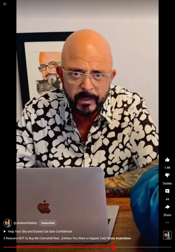 Screenshot from Jackson Galaxy video showing my original drawing of him and his cat Veloria hanging on the wall behind him