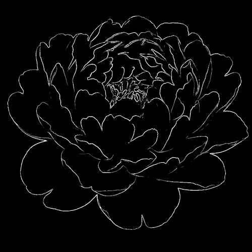 webp animation showing pencil sketch inverted to white lines on black background