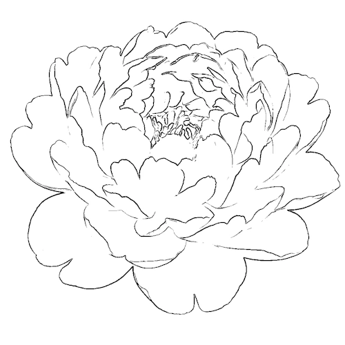 webp animation showing reduced opacity of image hence lighter sketch lines