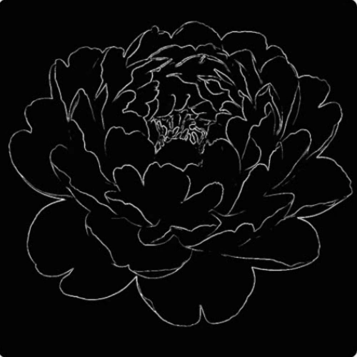 webp animation showing how to increase brightness of white sketch on black paper to get gray paper sketch