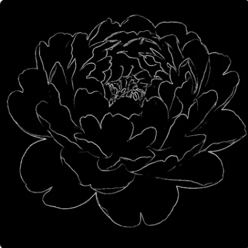 webp animation showing paint bucket tool from FreeToolio filling background of sketch with colors