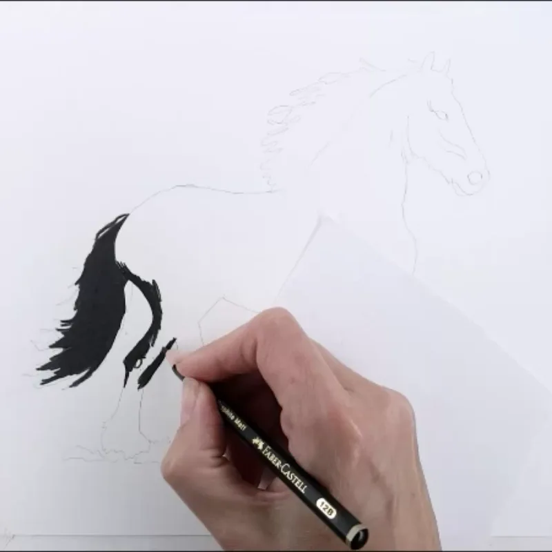 Pencil Drawing horse