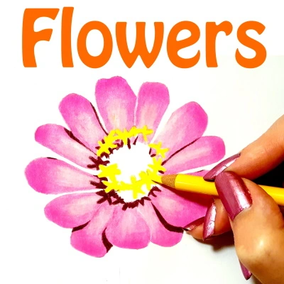 Coloured pencil artists Patreon teaches drawing flowers